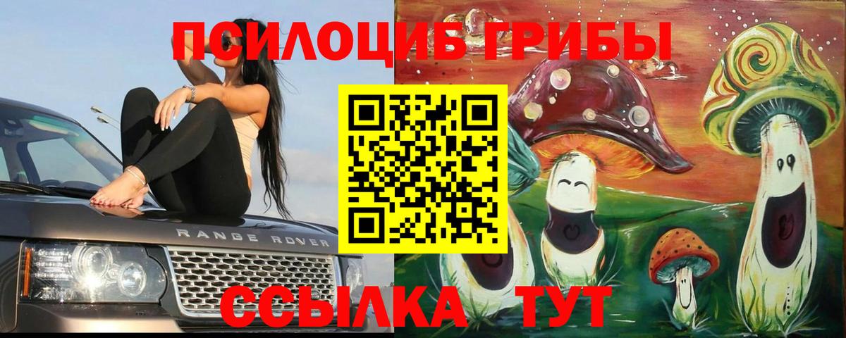 Псилоцибиновые грибы Psilocybe  Псилоцибиновые грибы мицелий  Вход с VPN  Вязники 